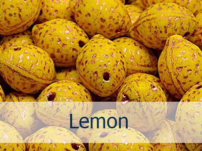 Lemon (лимон)