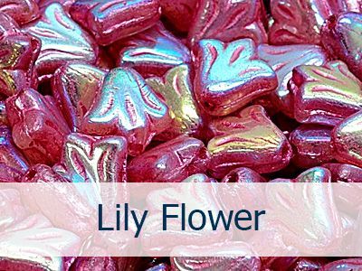 Lily Flower