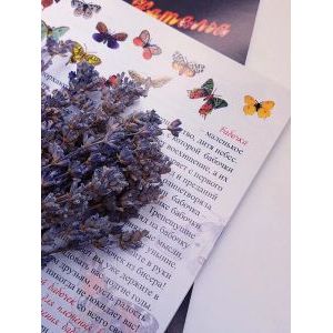 Книга Оживший бисер Бабочки