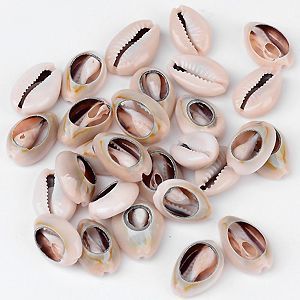 Ракушки  S053