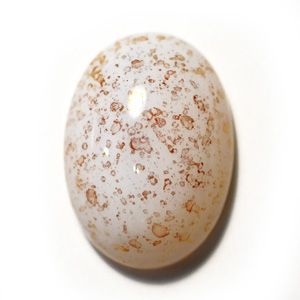 Кабошон овальный 37